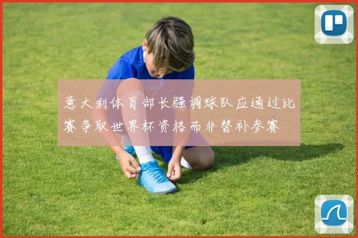 意大利体育部长强调球队应通过比赛争取世界杯资格而非替补参赛
